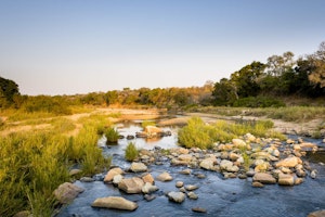 Afrika Südafrika Safari Lodges Singita Ebony