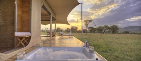 Afrika Tansania Serengeti Central Roving Bushtops Camp