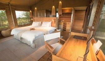 Room with a view im Roving Bushtops Camp