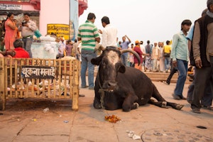 Asien Indien Abercrombie Varanasi