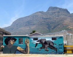 Afrika Südafrika Illanga