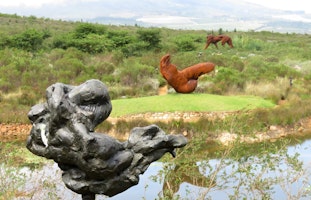Afrika Südafrika Illanga