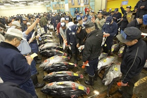 Asien Japan Japan-National-Tourism-Organization