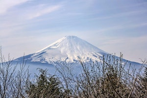 Asien Japan King_Jutta