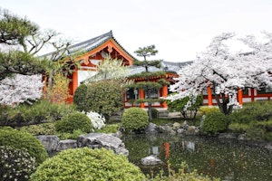Asien Japan King_Jutta