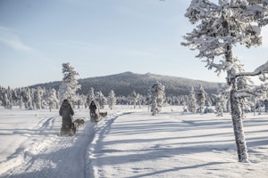 Europa Schweden Kiruna Fjellborg Arctic Lodge
