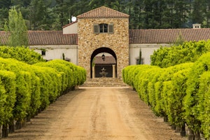 Afrika Südafrika Weingut Stellenbosch