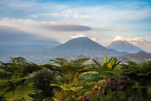 Afrika Ruanda Volcanoes National Park Sabinyo Silverback Lodge