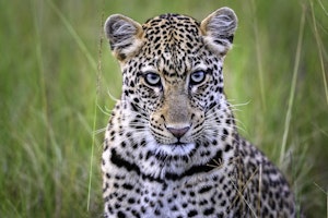 Afrika Ruanda Magasih-Lodge