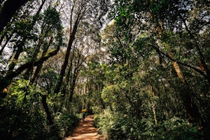 Tanzania shutterstock