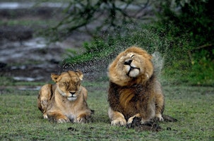 Tanzania shutterstock