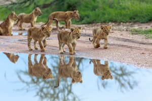 Tanzania shutterstock