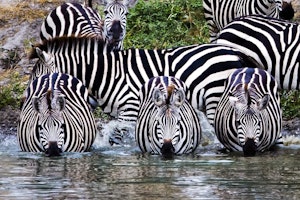 Tanzania shutterstock