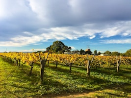 Australien Shutterstock