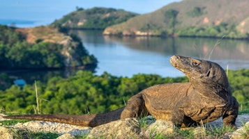 Indonesien shutterstock