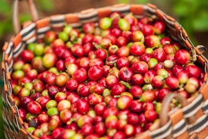 Laos shutterstock