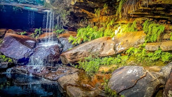 Australien Nationalpark Sydney