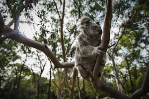 Australien Pretty Beach House
