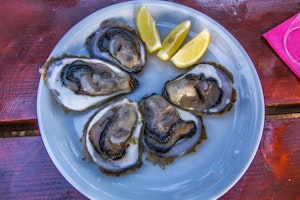 Kroatien oyster2