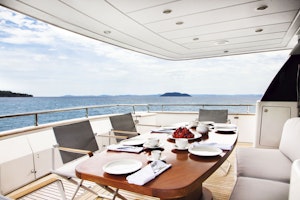 The Bird the bird_242