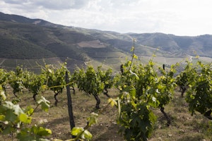 Butterfield & Robinson Douro porws_20180627_svi_001_46704198274_o