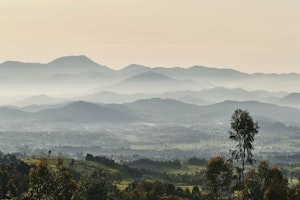 One&Only Gorillas Nest OO_GorillasNest_Flora_Fauna_Sunrise_Mountains_2622_MASTER