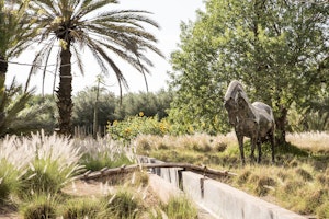 Villa Dar el Sadaka Marrakesh photo100036