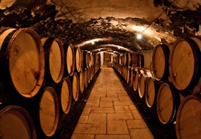 Langhe und Comer See eric-cook-D9WH_vlxicA-unsplash
