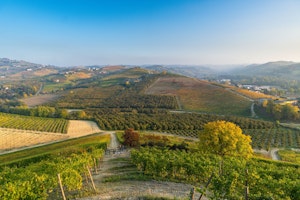 Langhe und Comer See sebastian-vg8UFQHwRAo-unsplash