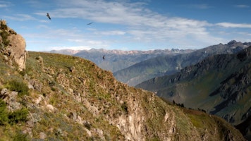 Colca Canyon Belmond Las Casitas del Colca