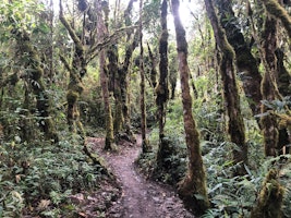 Salkantay Trail Salkantay Trail 8