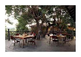 Indien Samode Safari Lodge