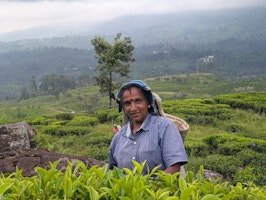 Sri Lanka