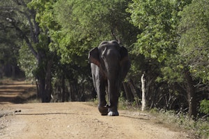 Sri Lanka Yala Nationalpark