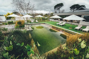 Afrika Südafrika Winelands Angala