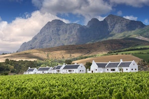 Afrika Südafrika Winelands Babylonstoren