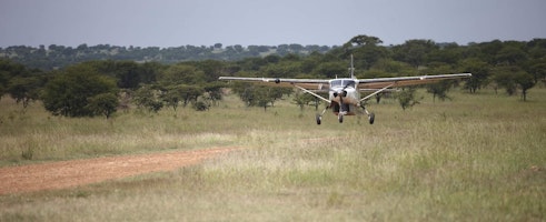 Afrika Tansania Serengeti North Kleins_Camp