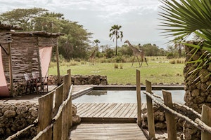 Afrika Tansania Tarangire Chem Chem