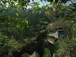 Asien Indonesien Bali Capella Ubud