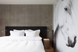 Europa Island Selfoss Ion Adventure Hotel