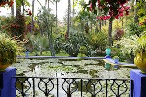 Afrika Marokko Travel Link Majorelle Garden