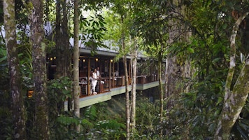 Australien_NZ_Polynesien Australien Queensland Mossman Silky Oaks Lodge