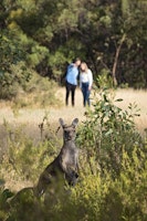 Australien_NZ_Polynesien Australien South Australia Barossa Valley The Louise