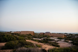 Australien_NZ_Polynesien Australien Western Australia Ningaloo Coast Sal Salis