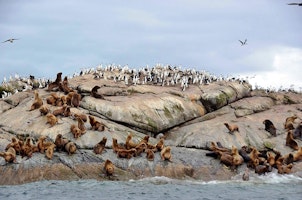 Skorpios MS Skorpios III