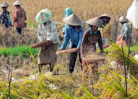 Asien Indonesien