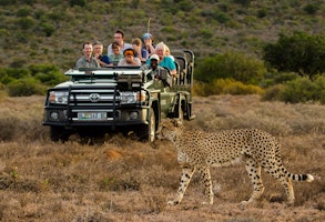 Afrika Südafrika Ilanga